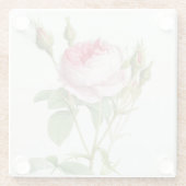 Rosa Redoute Rose Glass Untersetzer (Rückseite)