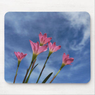 Rosa Regenlilien Blauer Himmel Mousepad