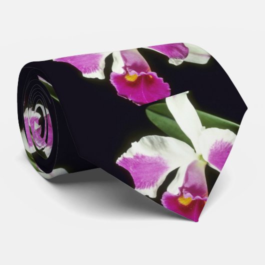 Rosa Remo Prada "Kronen" (Laeliocattelaya) Blumen Krawatte (Gerollt)