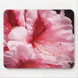 Rosa Rhodies mit Blumenmousepad herrliche Mousepad
