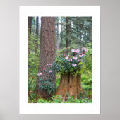 Rosa Rhododendren auf Baumstumpf Poster (Vorne)