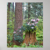 Rosa Rhododendren auf Baumstumpf Poster (Vorne)
