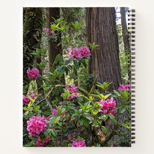 Rosa Rhododendren in einem Forest Floral Notebook Notizblock (Rückseite)