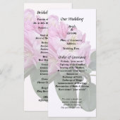 Rosa Rhododendren Programm (Vorne/Hinten)