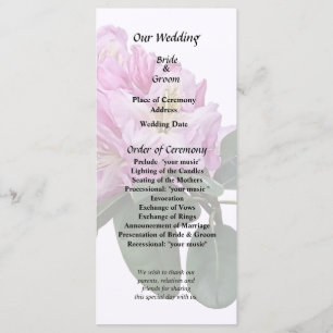 Rosa Rhododendren Programm