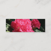 Rosa Rhododendron 2 Mini-Visitenkarten Mini Visitenkarte (Rückseite)