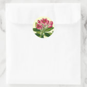 Rosa Rhododendron-Abbildung Runder Aufkleber (Tasche)