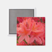 Rosa Rhododendron Azalea Blume Magnet (Vorderseite/Rückseite)