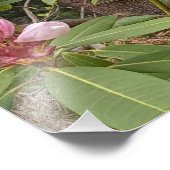 Rosa Rhododendron Blooms Bloral Fotodruck (Ecke)