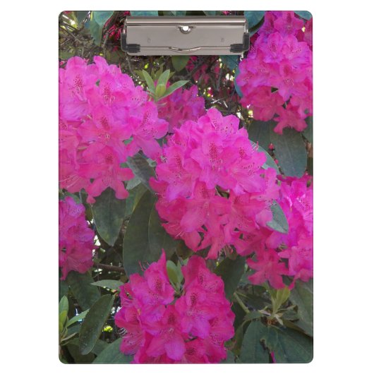 Rosa Rhododendron Blooms Bloral Klemmbrett (Vorderseite)