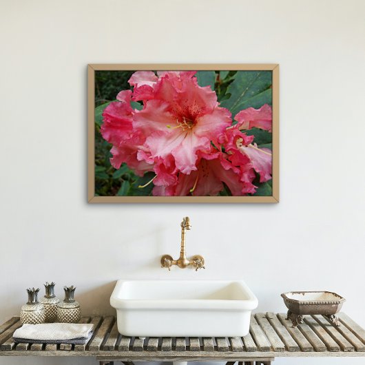 Rosa Rhododendron Blooms Bloral Poster
