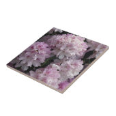 Rosa Rhododendron Blume Flora Foto Tile Fliese (Seite)