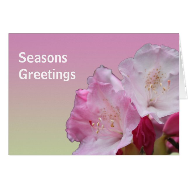 Rosa Rhododendron Blume Frohe Festtage (Vorderseite (Horizontal))