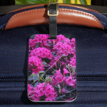 Rosa Rhododendron-Blume