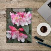 Rosa Rhododendron Blume Klemmbrett