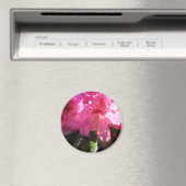 Rosa Rhododendron-Blume Magnet (In Situ (Geschirrspüler))