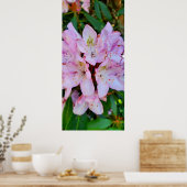 Rosa Rhododendron-Blume Poster (Küche)