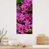Rosa Rhododendron-Blume Poster (Küche)