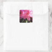 Rosa Rhododendron-Blume Quadratischer Aufkleber (Tasche)