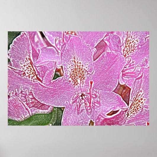 Rosa Rhododendron-Blütenposter Poster (Vorne)