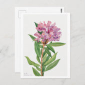 Rosa Rhododendron Botanische Illustration Postkarte (Vorne/Hinten)