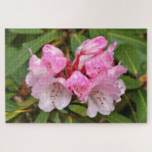 Rosa Rhododendron, Dandenong Ranges, Australien Puzzle