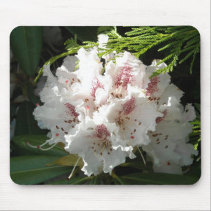 Rosa Rhododendron-Foto Mousepad