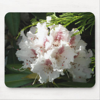 Rosa Rhododendron-Foto Mousepad