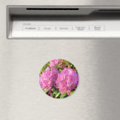 Rosa Rhododendron II Magnet (In Situ (Geschirrspüler))