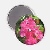 Rosa Rhododendron Magnet (Vorderseite/Rückseite)
