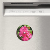 Rosa Rhododendron Magnet (In Situ (Geschirrspüler))