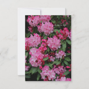 Rosa Rhododendron Mitteilungskarte