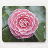Rosa Rhododendron Mousepad (Vorne)