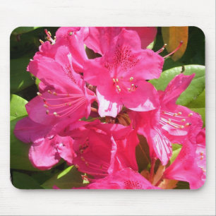Rosa Rhododendron Mousepad