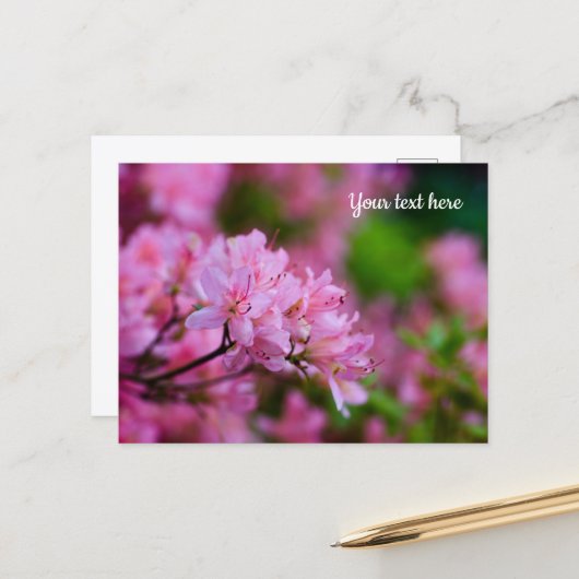 Rosa Rhododendron Postkarte (Vorderseite/Rückseite Beispiel)