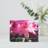 Rosa Rhododendron Postkarte (Stehend Vorderseite)