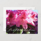 Rosa Rhododendron Postkarte (Vorne/Hinten)