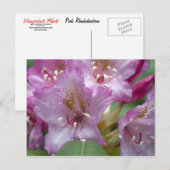 Rosa Rhododendron Postkarte (Vorne/Hinten)