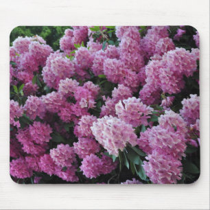 Rosa Rhododendron Schönheit Mousepad