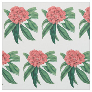 Rosa Rhododendron Stoff