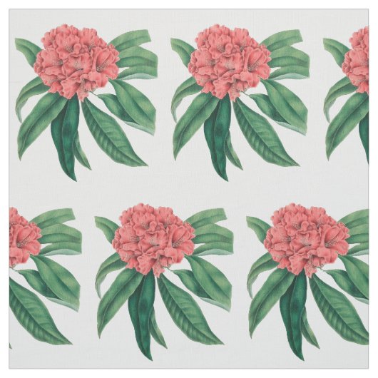 Rosa Rhododendron Stoff (Muster)