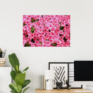 Rosa Rhododendronblüten Poster