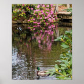 Rosa Rhododendronblüten Wasserreflexion Poster (Vorne)