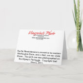 Rosa Rhody Karte (Rückseite)