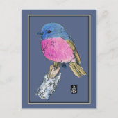 Rosa Robin Colorful Small Bird Postkarte (Vorderseite)