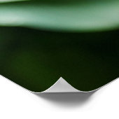 Rosa Rodgersia Blumen Poster (Ecke)