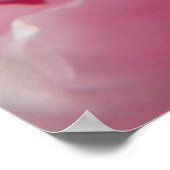 Rosa Romantik blühende Blume mit Tau Poster (Ecke)
