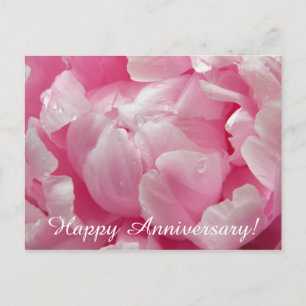 Rosa Romantik blühende Blume mit Tau Postkarte