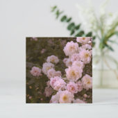 Rosa romantische Rose (Stehend Vorderseite)