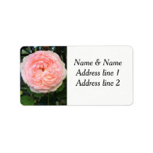 Rosa Rosa-Adressetiketten